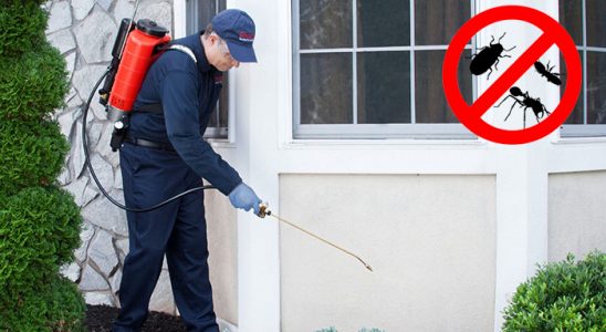 Doğanhisar Fare İlaçlama böcek ilaçlama ve haşere kontrolü — ilaclama-tr.com